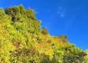 ac米兰体育官网-肯尼亚中长跑选手坚持不懈完美收官