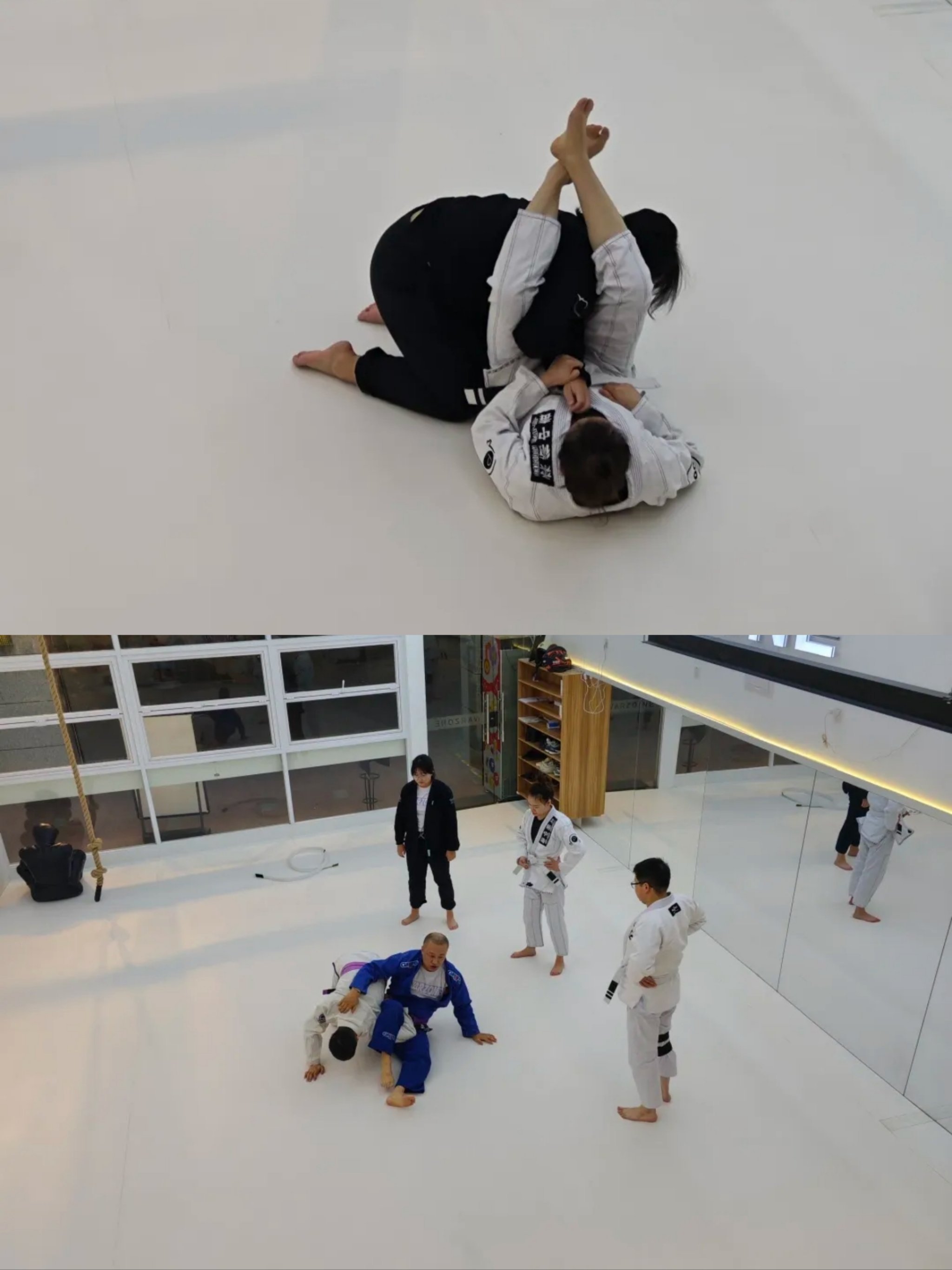 巴西选手在柔道比赛中发挥出色