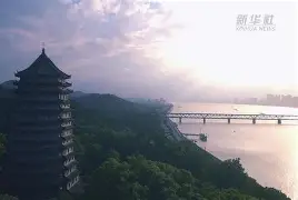 中国足球联赛中球员们的无畏拼搏 中国足球联赛中球员们的无畏拼搏