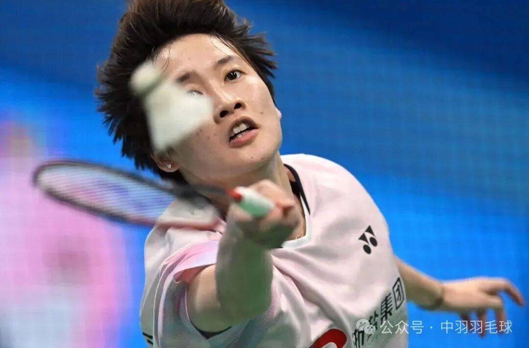 法国队横扫日本队，陈雨菲关键制胜